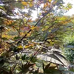 123 La Casa Nel Bosco *