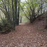 123 La Casa Nel Bosco