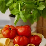 123 La Casa Nel Bosco Appartamento Curino
