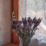 123 La Casa Nel Bosco * Curino