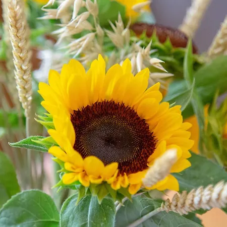 123 La Casa Nel Bosco *