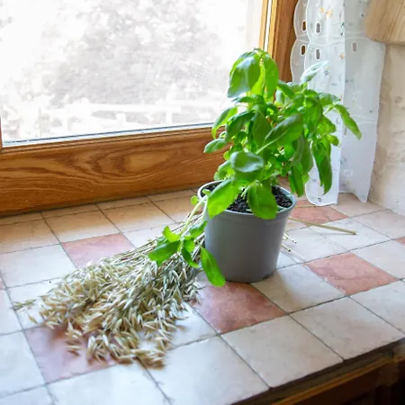 123 La Casa Nel Bosco 아파트 Curino