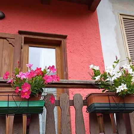 123 La Casa Nel Bosco *
