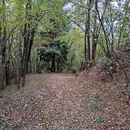 123 La Casa Nel Bosco 아파트 *