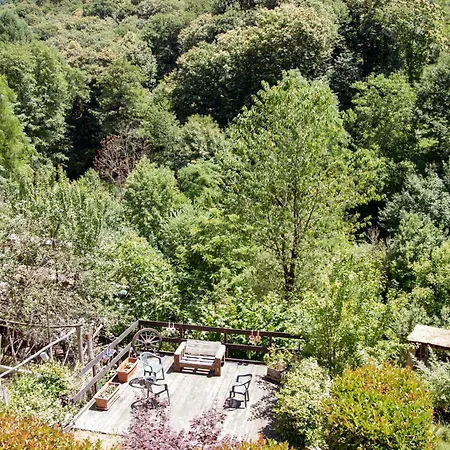 123 La Casa Nel Bosco *