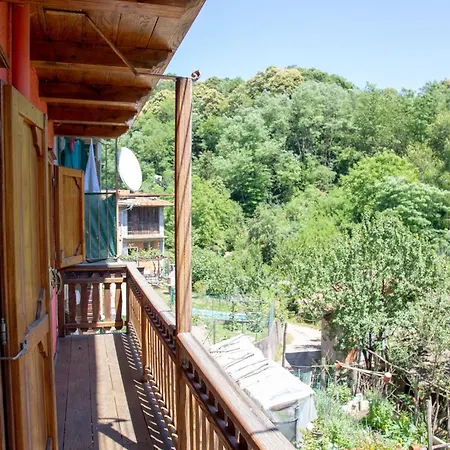 123 La Casa Nel Bosco Curino
