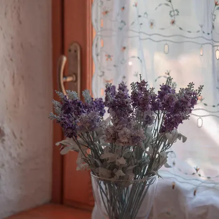 123 La Casa Nel Bosco * Curino