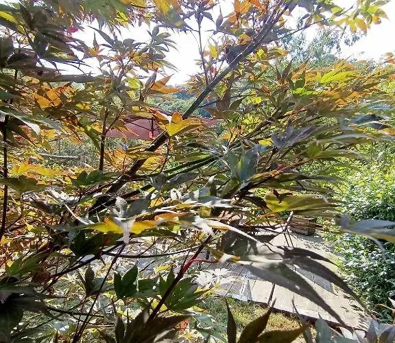 123 La Casa Nel Bosco *