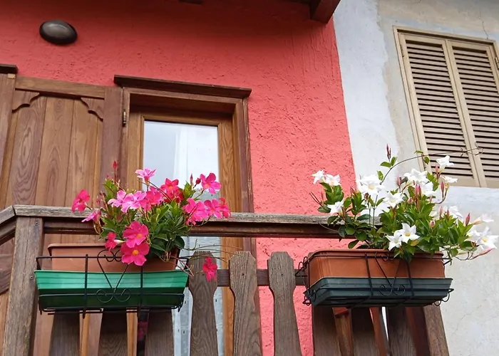 123 La Casa Nel Bosco *