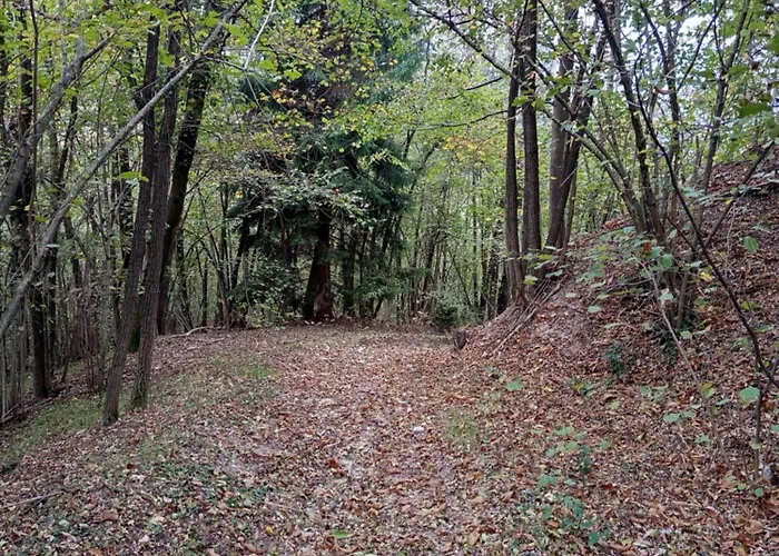 123 La Casa Nel Bosco Lejlighed *