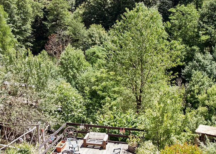 123 La Casa Nel Bosco *