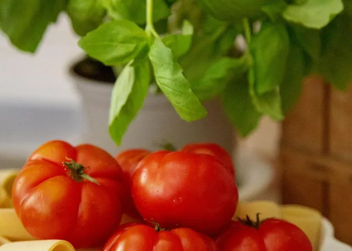 123 La Casa Nel Bosco 아파트 Curino