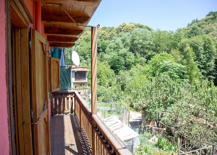 123 La Casa Nel Bosco Curino